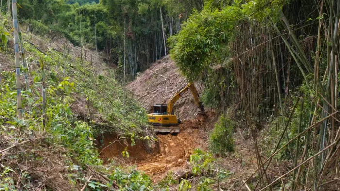 林間“藏龍”，竹?！芭P虎”——徐工林業(yè)挖機廣西俠客行